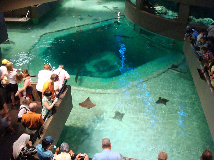 Baltimore [2009 July 02] 236.JPG - Scenes from Baltimore's Inner Harbor.